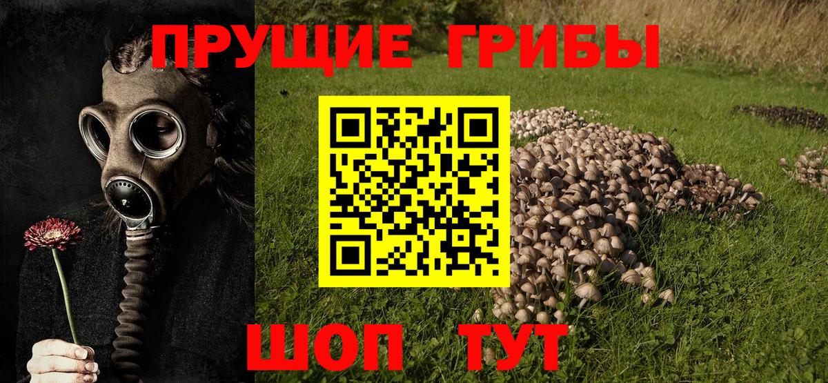 Галлюциногенные грибы MAGIC MUSHROOMS  купить  сайты  Люберцы  Псилоцибиновые грибы мухоморы  Вход с VPN 