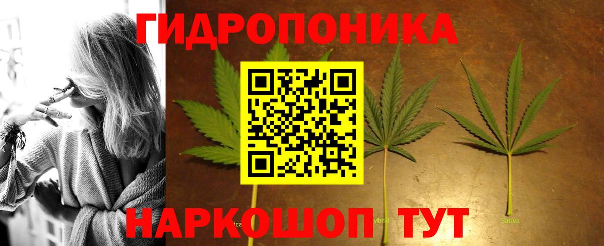 Каннабис планчик Люберцы